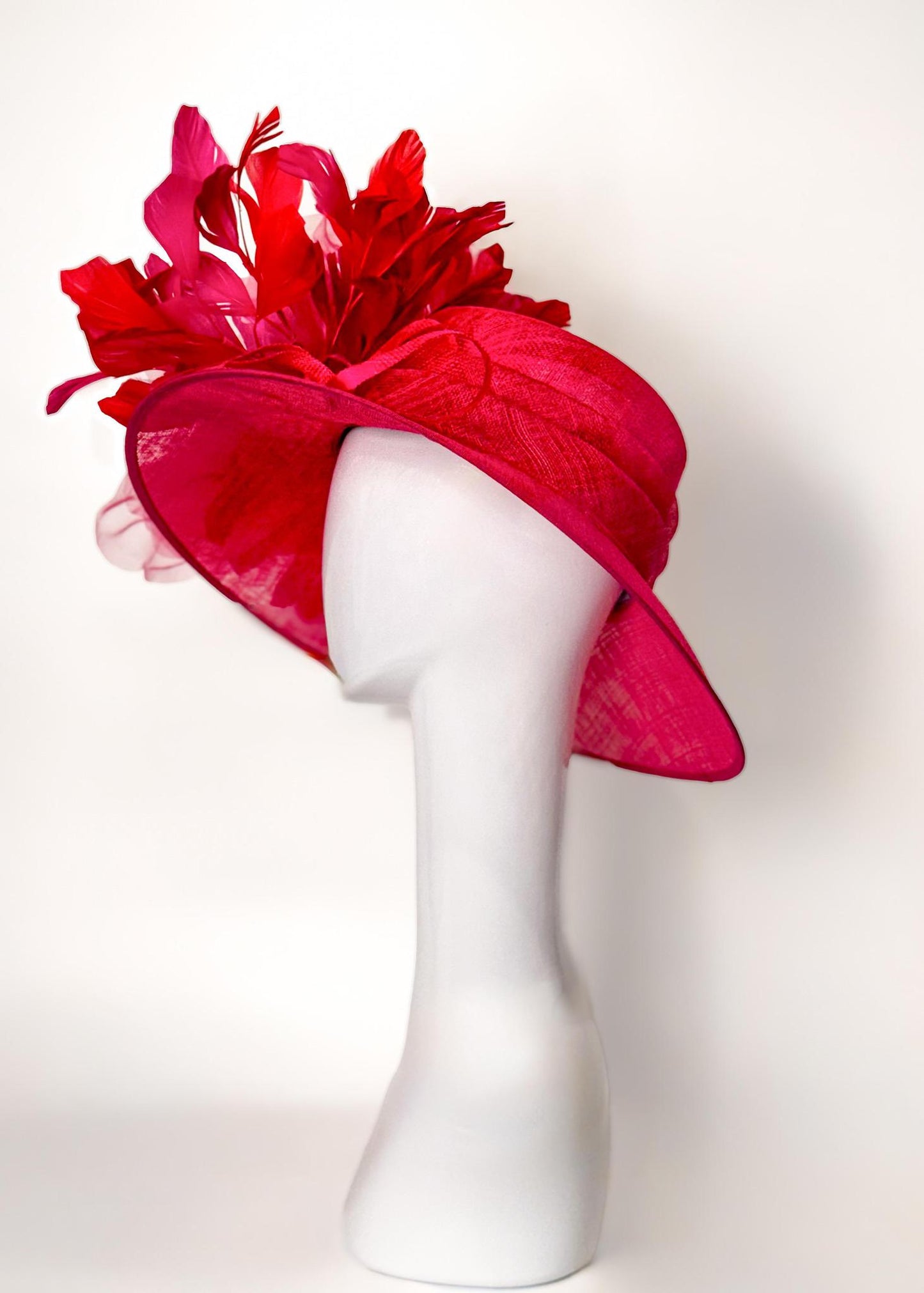 H Fuchsia 1213