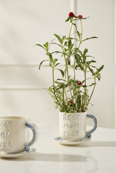 Best Mom Mug/Saucer