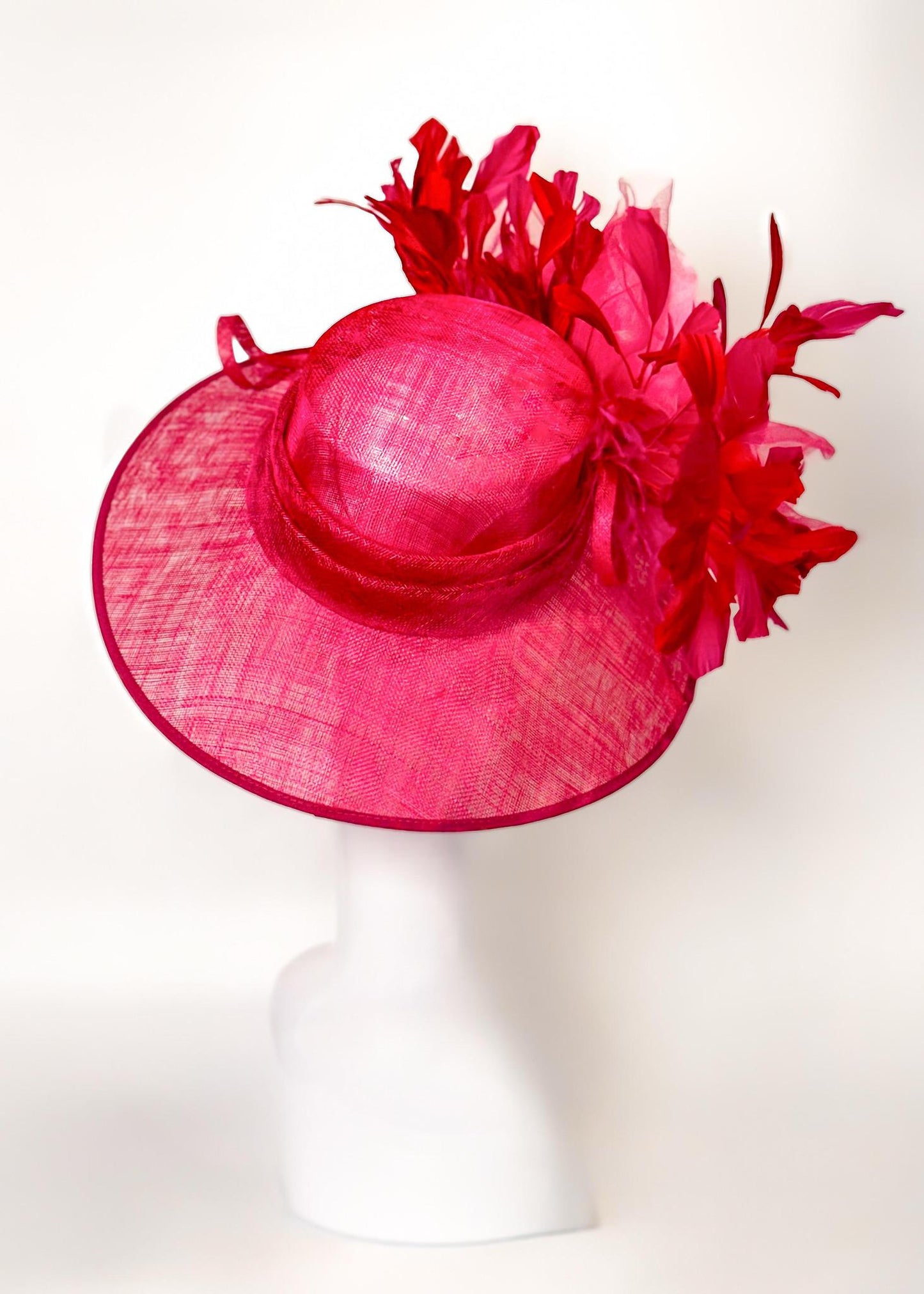H Fuchsia 1213