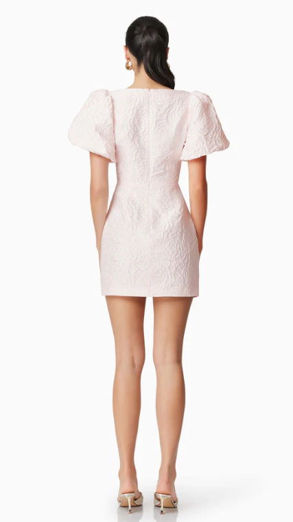 Deanna Mini Dress