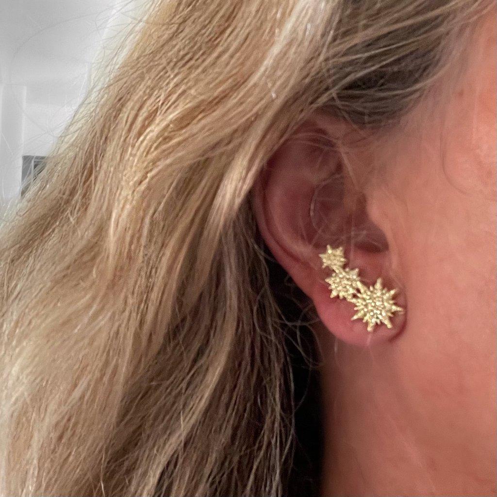 Star Climber Earrings
