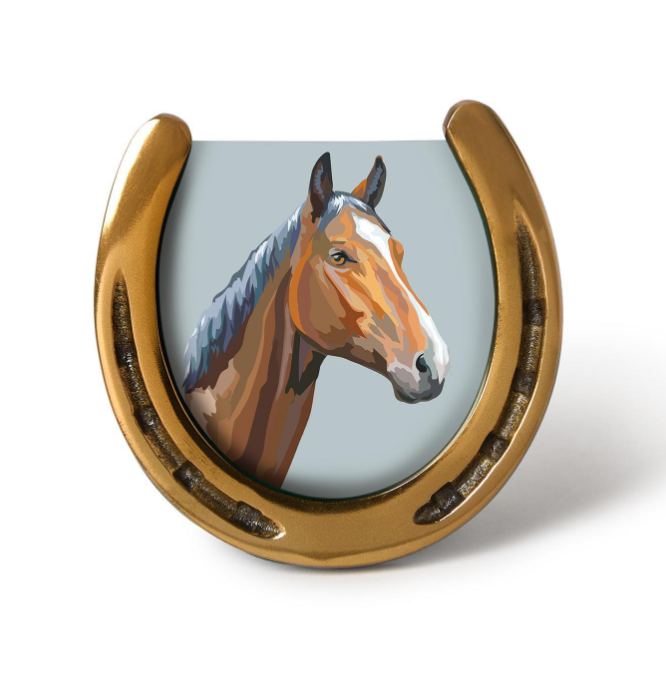 Horseshoe Frame