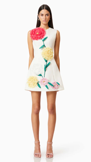 Elliatt Buttercup Mini Dress, Sleeveless A-line mini dress for a flattering fit
- Multi-colour 3D floral embroidery for added
charm
- Rounded neckline for a soft, feminine silhouette
- Crafted from suiting fabrication for structure and
comfort
- Centre back invisible zipper for a seamless fit