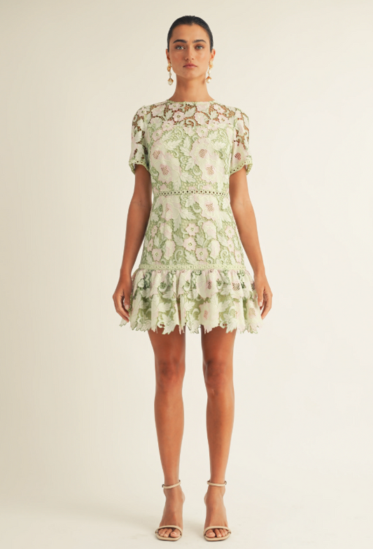 Haley Lace Dress