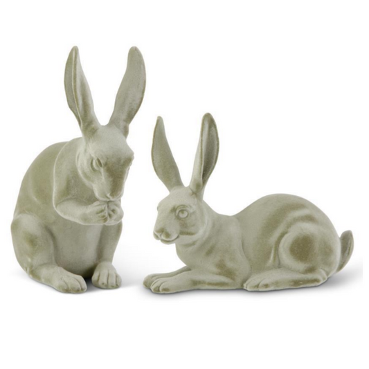 Green Velvet Bunnies