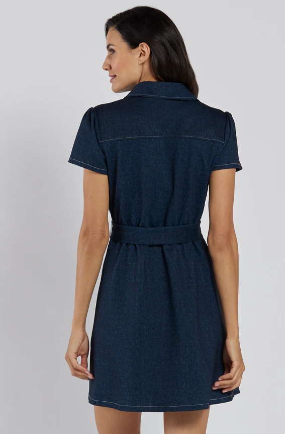 Ingrid Denim Dress