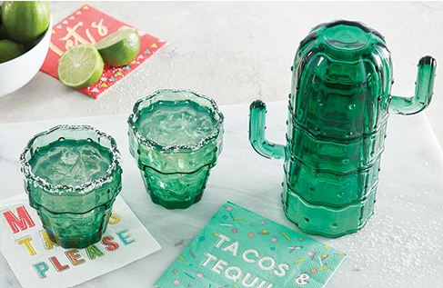 Cactus Glass Set