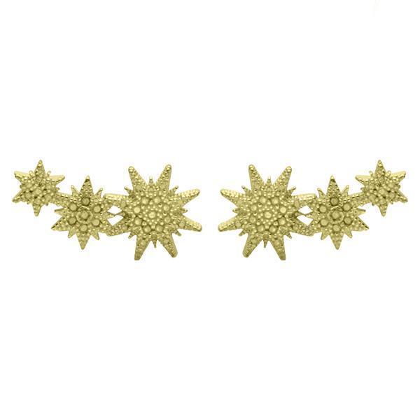 Star Climber Earrings
